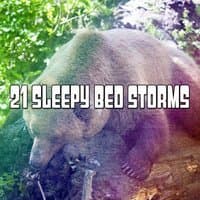 21 Sleepy Bed Storms