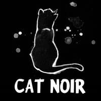 Cat Noir