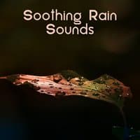 Soothing Rain Sounds