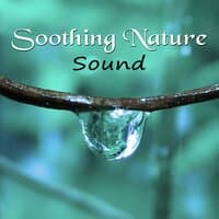 Soothing Nature Sound - Soft Ocean Waves, Pure Nature Sounds, Calm Music for Relaxation, Better Sleep