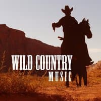 Wild Country Music: 2018 Best Selection, Wild Guitar Rhythms with Unique Instrumental Essence