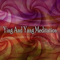 Ying And Yang Meditation