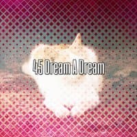 45 Dream A Dream