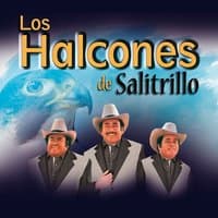 Los Halcones de Salitrillo