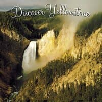 Discover Yellowstone