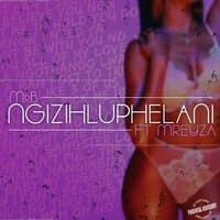 Ngizihluphelani