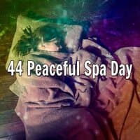 44 Peaceful Spa Day