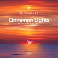 Cinnamon Lights