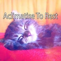 Aclimatise To Rest