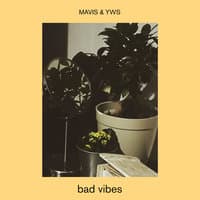 Bad Vibes