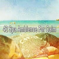 42 Spa Ambience for Calm