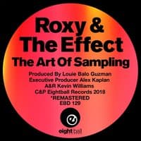 The Art Of Sampling