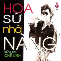 Hoa Sứ Nhà Nàng