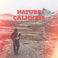 Nature Calmness – The Best Nature Music, Music to Calm Down, Stress Free, Soothing New Age, Beautiful Day