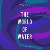 The World Of Water