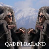 Qaddi baland