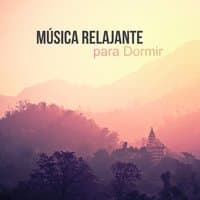 Música Relajante para Dormir - Meditación Profunda, Cura para el Insomnio, Serenidad y la Música Calmante