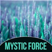 Mystic Force - White Noises for Deep Sleep, Spiritual Reflections, Relaxation and Chill Out