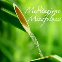 Meditazione Mindfulness - Sessioni di Rilassamento per Dormire Pacificamente & Pensare Positivo