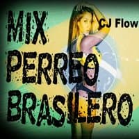 Mix Perreo Brasileño