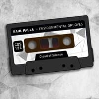 Environmental Grooves