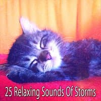 25 Relaxing Sounds Of Storms