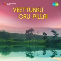 Veettukku Oru Pillai