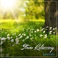 #15 Stress Relieving Sounds to Promote Wellness & Chakra Healing