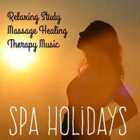 Spa Holidays - Relaxing Study Massage Healing Therapy Music for Deep Concentration Awareness Wellness Programs with Meditative Spiritual Instrumental New Age Sounds