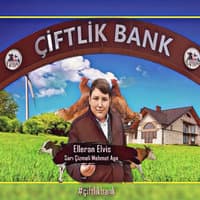 Sarı Çizmeli Mehmet Ağa (Çiftlik Bank)