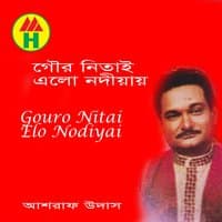 Gouro Nitai Elo Nodiyai