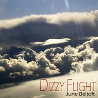 Dizzy Flight