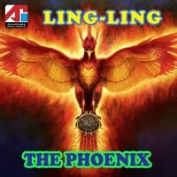 Ling Ling - The Phoenix Indo-Mandarin