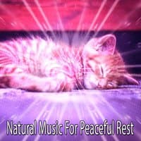 Natural Music For Peaceful Rest