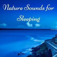 Nature Sounds for Sleeping - 50 Tracks