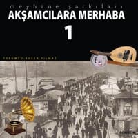 Akşamcılara Merhaba, Vol. 1