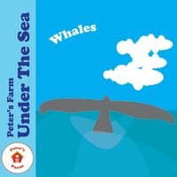 Whales