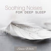 Soothing Noises for Deep Sleep - Blissful Therapy of Nature Sounds, Calm Night, No More Insomnia Problems