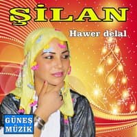 Hawer Delal