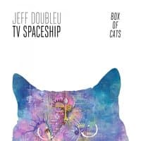 TV Spaceship