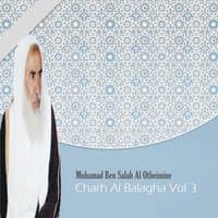 Charh Al Balagha Vol 3