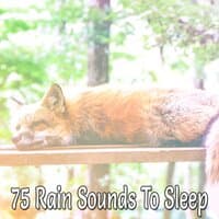 75 Rain Sounds To Sleep