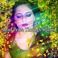 Brief Peace Through Storms