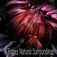 73 Babies Natural Surroundings