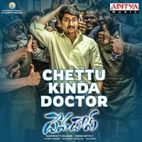 Chettu Kinda Doctor