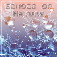 Echoes of Nature – Music for Peace of Mind, Relax Yourself, Ambient Serenity, Chakra Balance