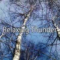 Relaxing Thunder