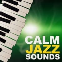 Calm Jazz Sounds – Piano Bar, Chill Jazz, Calming Sounds, Evening Relaxation