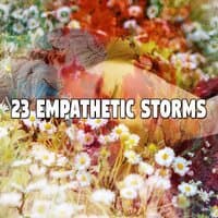 23 Empathetic Storms