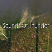 Sounds Of Thunder